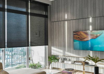 NICE roller shades by Modern Smart Home